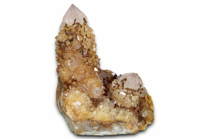Sunshine Cactus Quartz/Amethyst Crystal Cluster - South Africa #337656